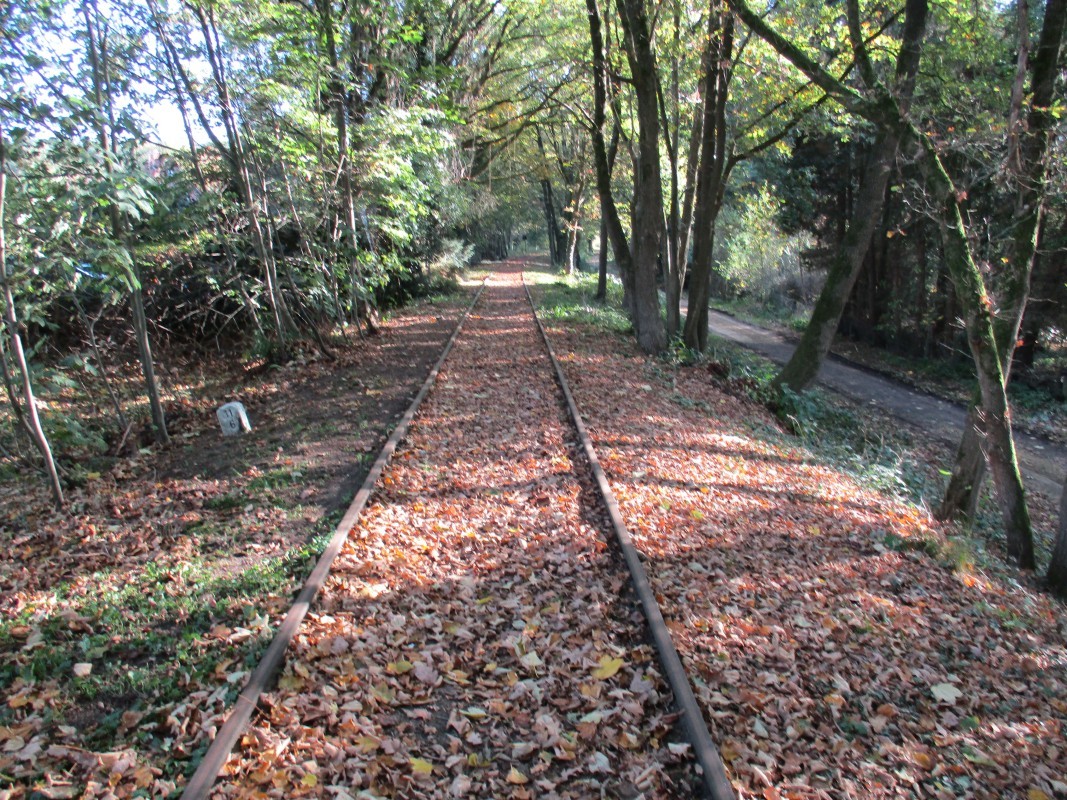 Bahnhof8